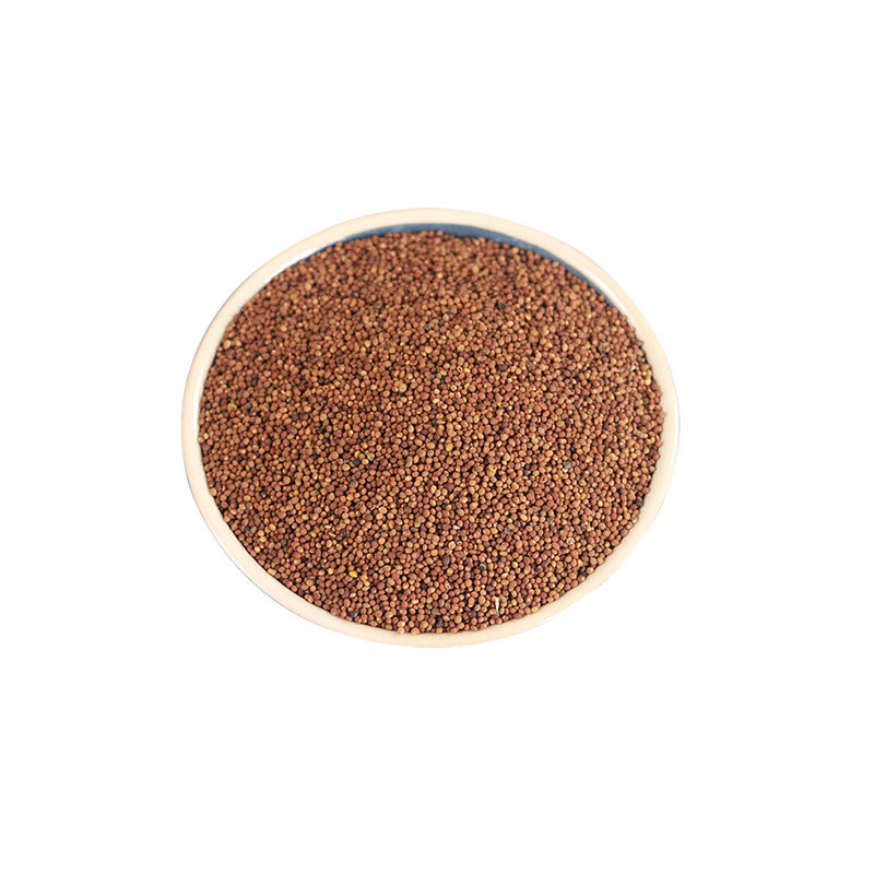 Tu Si Zi (Cuscuta chinensis) — Washed & Prepared Dodder Seed, Food Herb for Cooking - Image 5