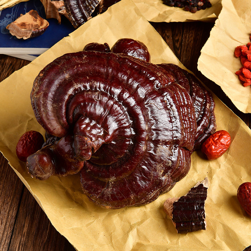 Changbai Mountain Reishi Mushroom Whole Dried Gift Box Lingzhi Zi Zhi 180g - Image 3