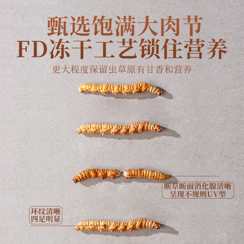 Dried Cordyceps Sinensis Broken Stems 1g Box Wild Harvested Tibetan Plateau Cordyceps for Traditional Soup and Decoction - Image 4