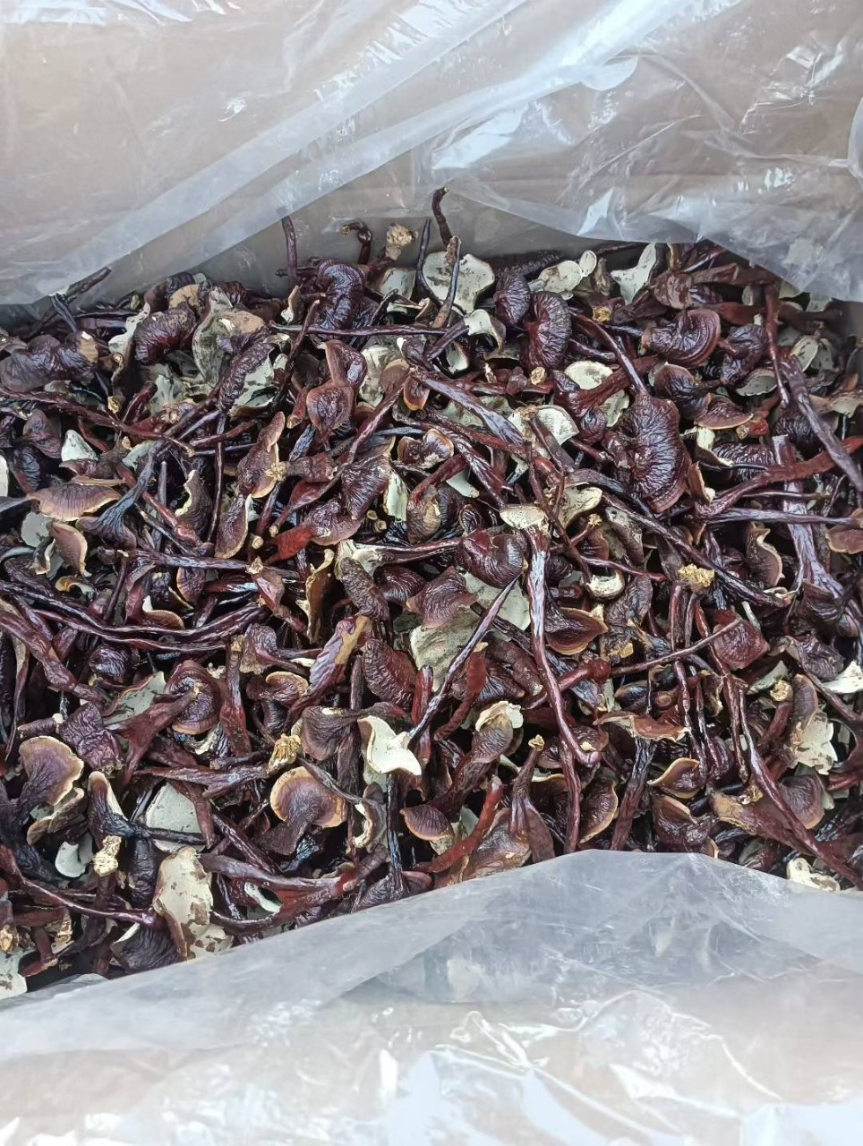 Dried Bamboo Reishi Mushroom Slices Mild Flavor for Tea Wine and Soup 500g - Image 3