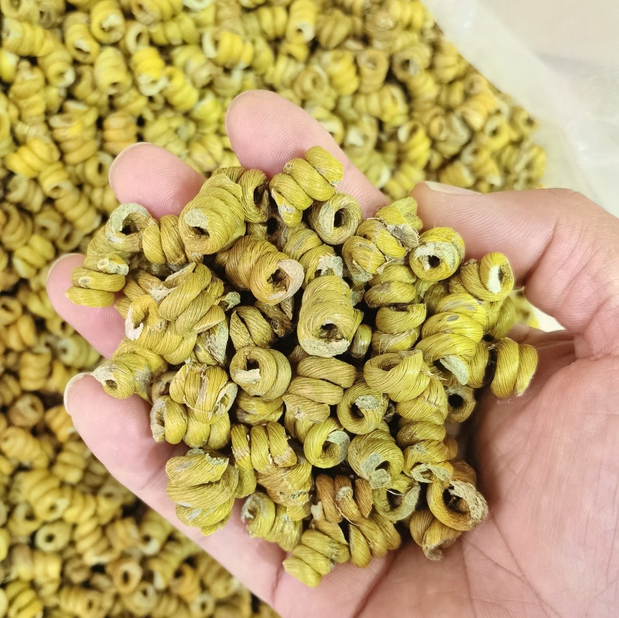 Huoshan Dendrobium Fengdou Granules Mi Hu Tie Pi Shi Hu Bulk 1kg Wholesale - Image 2