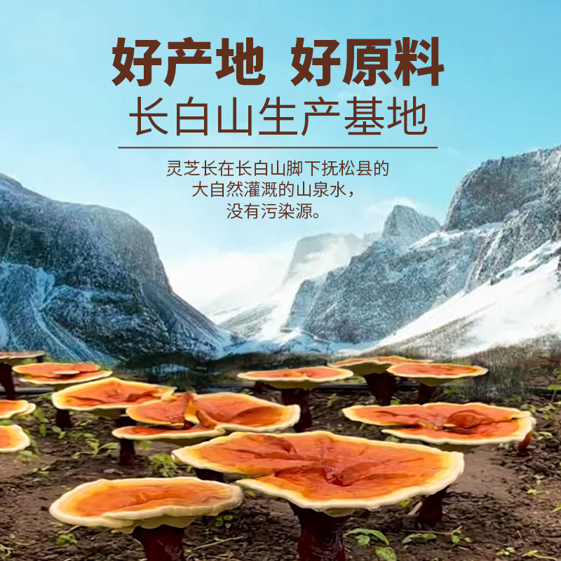 Organic Changbai Mountain Reishi Mushroom Spore Powder Gift Box 250g Lingzhi Spore Powder for Wellness - Image 4