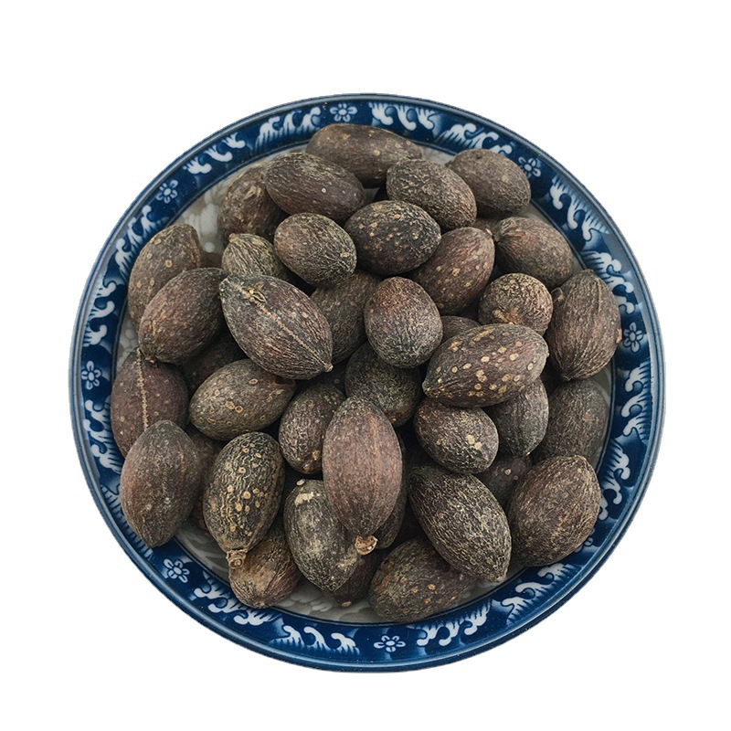 Dried Fan Palm Seeds Kui Shu Zi 葵树子 Bulk Chinese Herb 500g Sun Dried Guangxi - Image 5