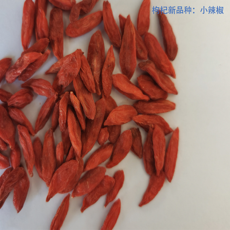 Large Grain Small Chili Goji Berries Ningxia Zhongning Dried Red Goji 500g - Image 3