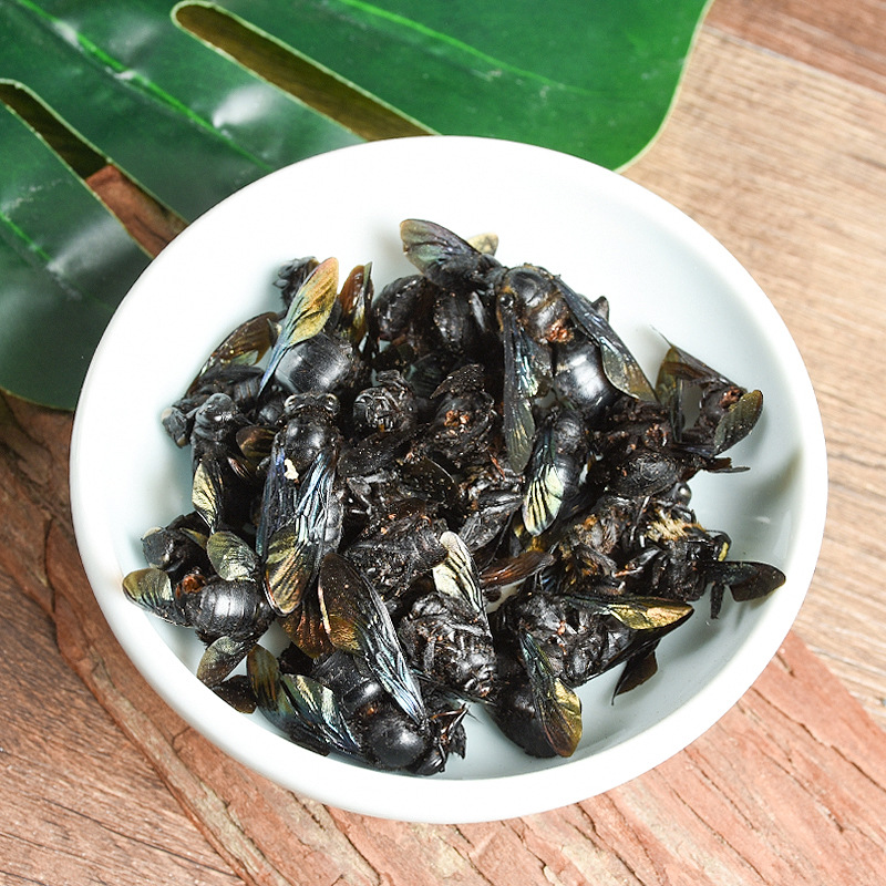 Bamboo Bee (Xylocopa dissimilis) — Dried TCM Insect Material, 500g Bulk Lot - Image 4