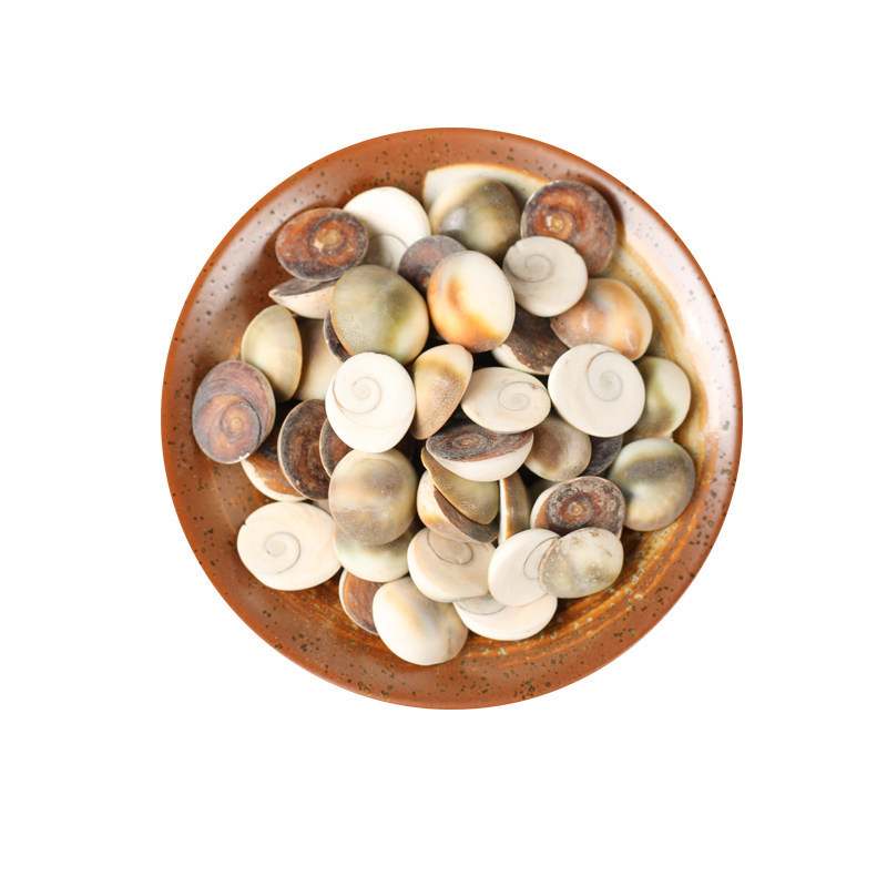 Jia Xiang Sea Snail Operculum 甲香 Dried TCM Herb 500g Traditional Incense and Decoction Material - Image 5