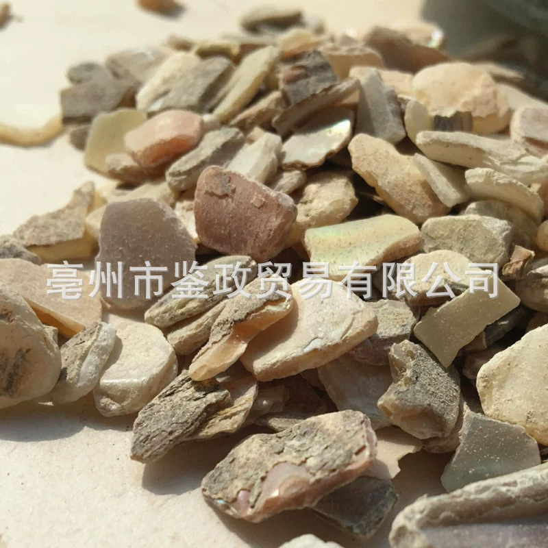Zhen Zhu Mu Mother of Pearl Powder Raw Herb 500g Dried Concha Margaritifera for Traditional Decoctions - Image 3