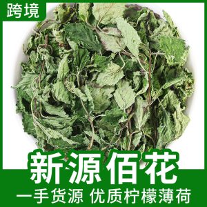 Mint Leaf Tea (Mentha haplocalyx) — Dried Food-Herb Mint for Cold Brew & Daily Infusions