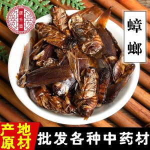 Fei Lian (Blatta orientalis) Dried Medicinal Insect — Traditional Chinese Herbal Material