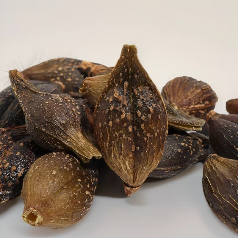 Lian Qiao Powder (Forsythia suspensa) — Dried Food Herb for Tea & Daily Wellness - Image 2