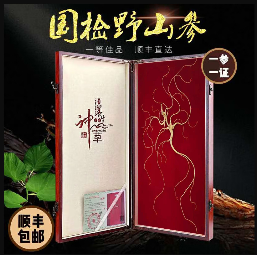 Wild Mountain Ginseng Gift Box Dried Root Slices 15 Years and Above for Soup and Decoction - Image 4