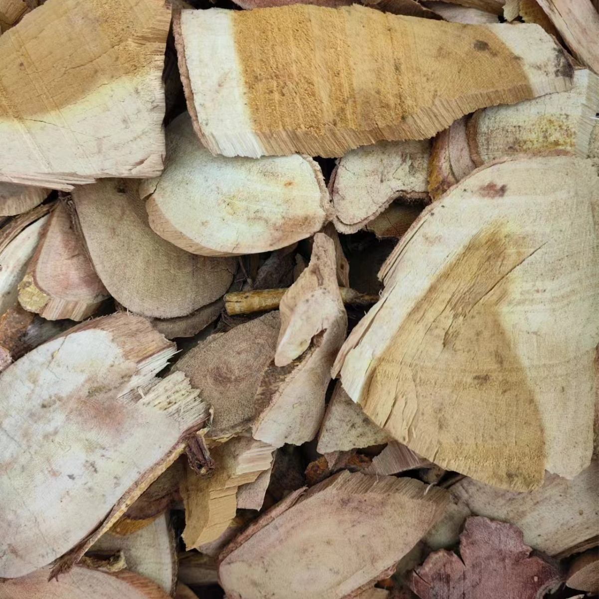 Chuan Po Shi Root (Cudrania cochinchinensis) — Dried TCM Herb, Powder Available - Image 3