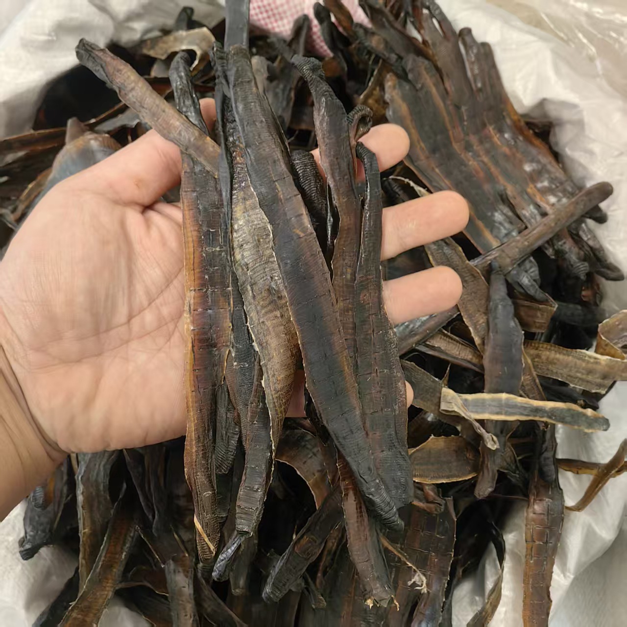 Dried Earthworm Di Long Slices Salt-Free Sand-Free Guangxi 2025 Harvest 500g Powder Option - Image 2