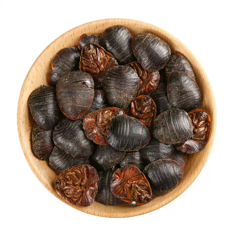 Tu Yuan Dried Ground Beetle Whole Insect TCM Herb 500g Shandong Origin - Image 5