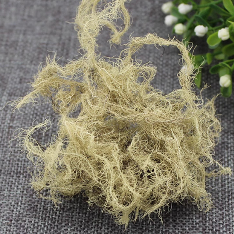 Yun Wu Cao (Usnea longissima) — Dried Old Man's Beard Lichen, 500g Food Herb - Image 3