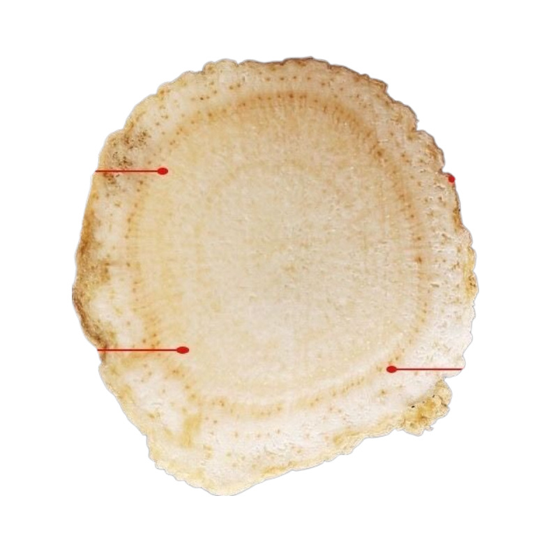 American Ginseng Slices Xi Yang Shen 500g Premium Dried Root for Tea and Soups - Image 5