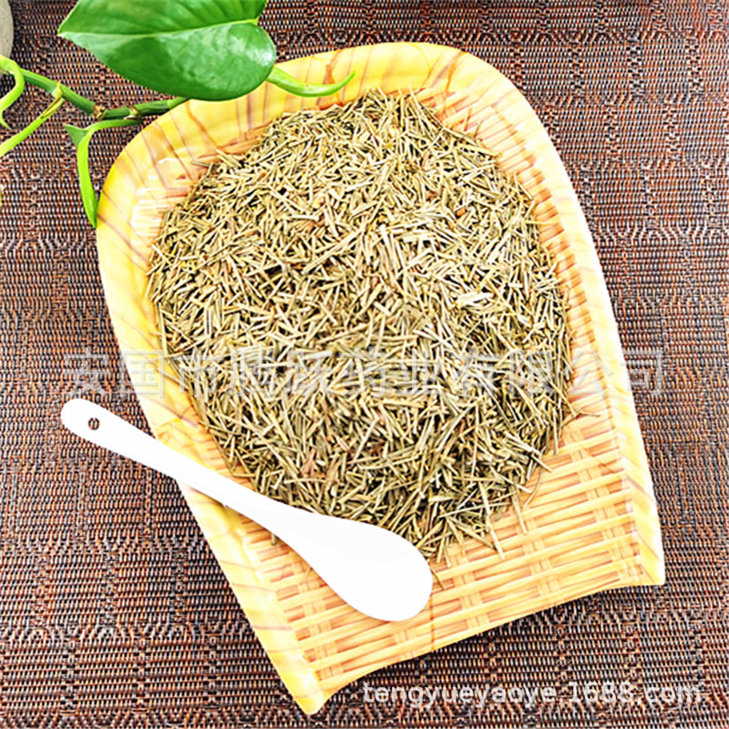 Dried Pine Needles Song Zhen 松针 Loose Raw Herb for Tea and Decoction 1kg Bag - Image 2
