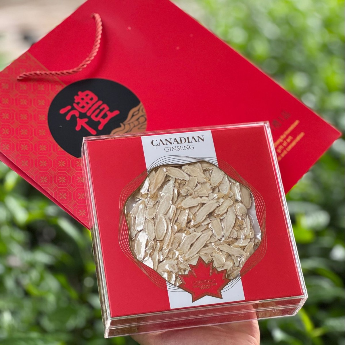 Canadian American Ginseng Slanted Slices 80g Gift Box Soft Branch Flower Flag Ginseng - Image 4