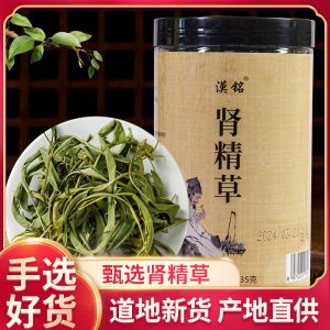 Hua Shi Cao (Orthosiphon aristatus) — Dried Cat's Whiskers Herb, 35g Jar for Herbal Tea