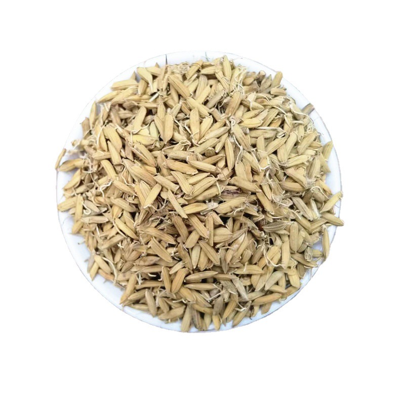 Dried Rice Sprout Dao Ya Whole Sprouted Grain Raw Herb for Decoction and Tea - Image 5