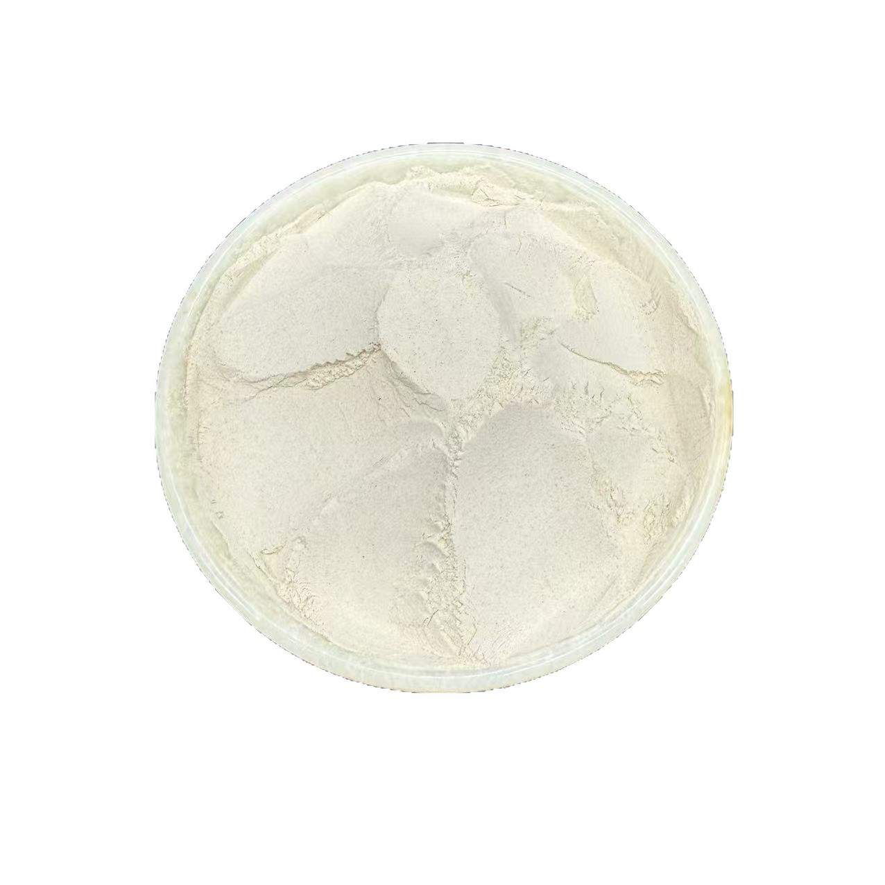 Turtle Shell Powder Bie Jia Fine Ground Chinese Herbal Powder 500g Traditional TCM Ingredient - Image 5