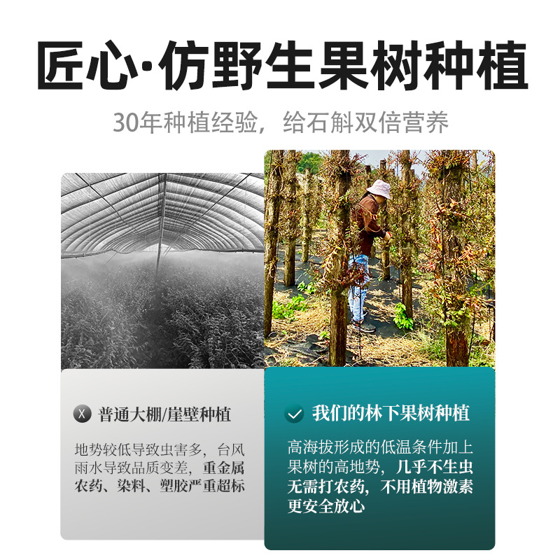 Dried Dendrobium Stem Fengdou 100g Gift Box Yandang Mountain Five Year Tiepi Shihu - Image 4