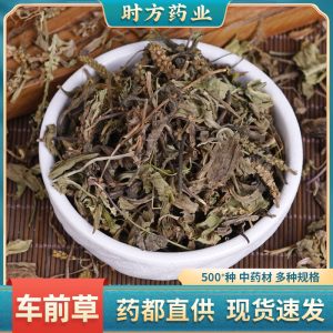 Plantain Herb Slices (Plantago asiatica) — Dried Food Herb for Tea & Soup