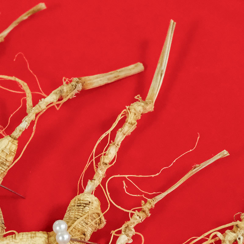 Changbai Mountain Understory Ginseng Gift Box Sun-Dried Whole Root for Soup and Tea - Image 2