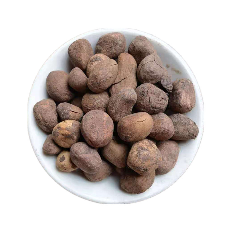 Dried Chaulmoogra Seeds Da Feng Zi 大枫子 Whole Herb Bulk Supply - Image 5