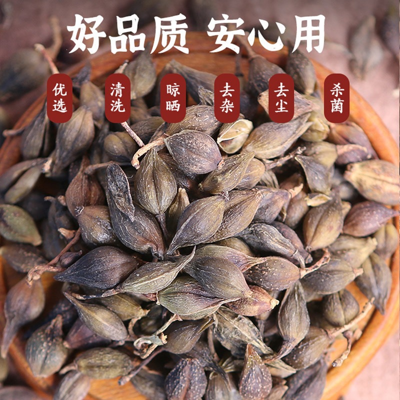 Forsythia Fruit Lian Qiao Dried Herbal Tea Unsulfured Hand Selected 500g Jar - Image 3