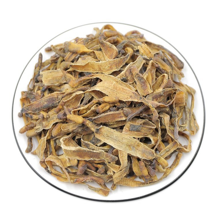 Dried Earthworm Di Long 500g Half-Cut Pheretima Traditional Chinese Herb Guangdong Origin - Image 5