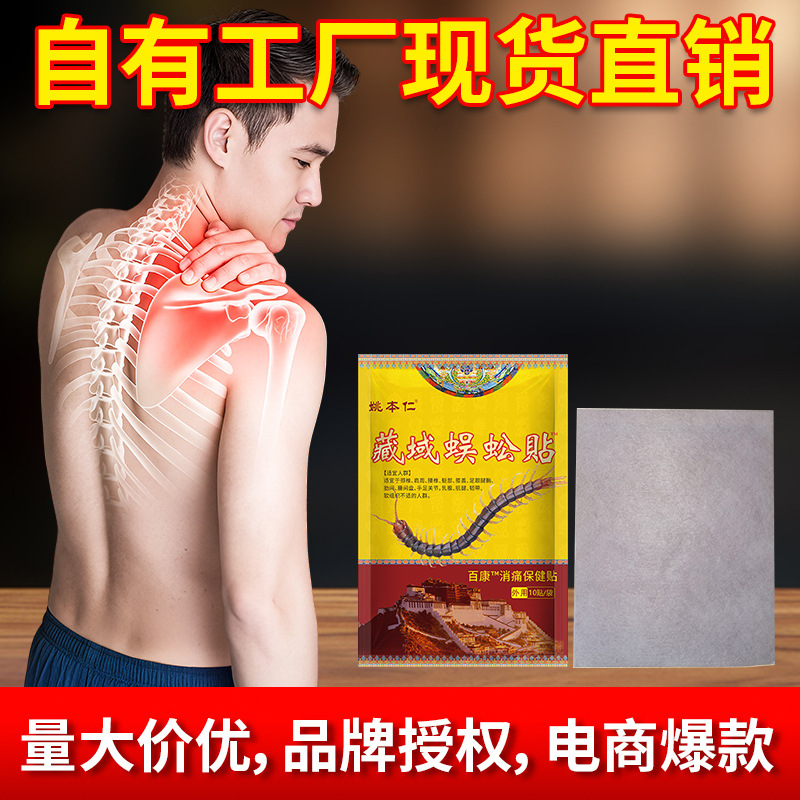Wugong Centipede Herbal Heat Patch for Neck Shoulder Waist and Leg Joint Discomfort 10 Patches Per Bag - Image 2