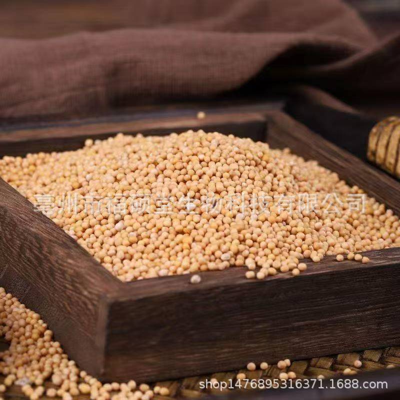 Bai Jie Zi (Sinicu White Mustard Seed) — Dried Food Herb for Tea & Powder - Image 2