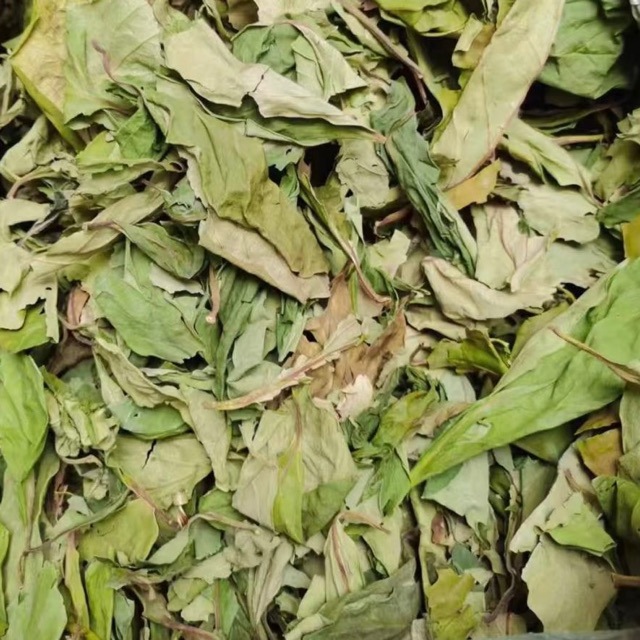 Dried Persimmon Leaves Shi Ye 500g Natural Whole Leaf Herbal Tea Material - Image 2