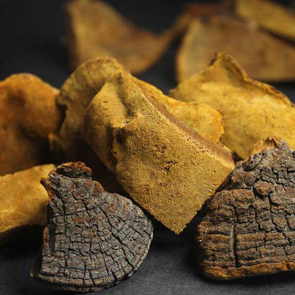 Sang Huang Dried Phellinus Mushroom Premium Tibet Grade Tea Herb 375g Set - Image 2