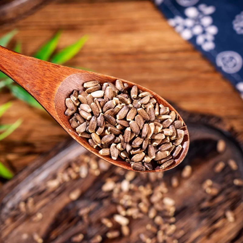 Milk Thistle Seed Shui Fei Ji 500g Dried Silybum Marianum Seeds for Herbal Tea and Decoction - Image 3