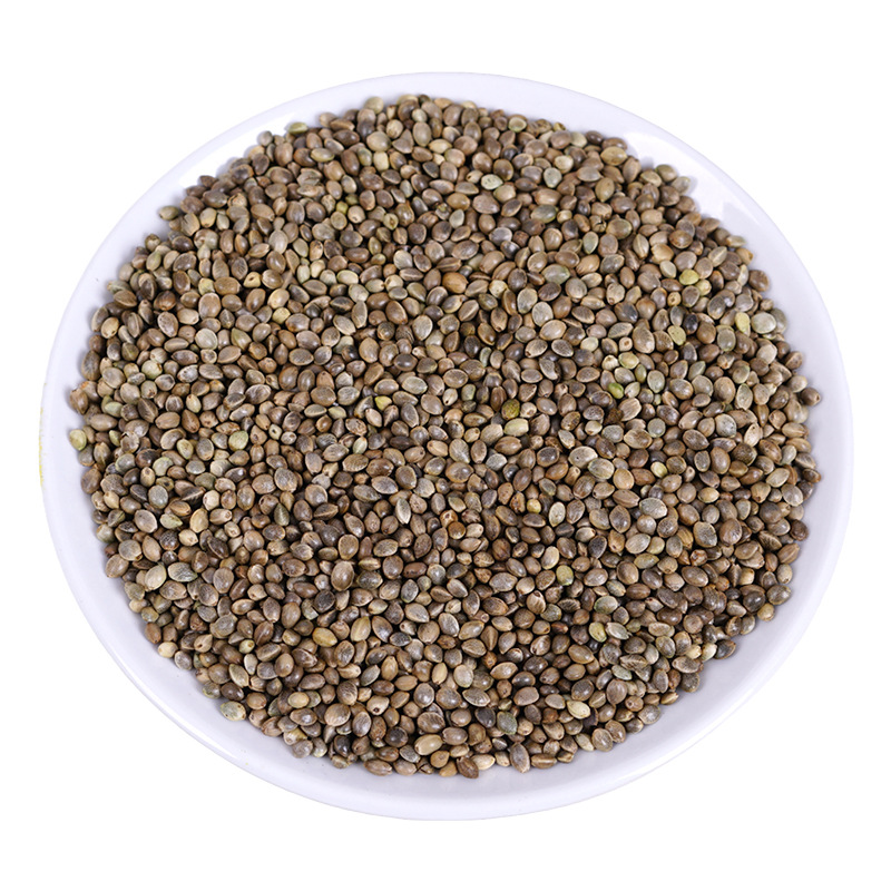 Hemp Seed (Cannabis sativa) — Huo Ma Ren Dried Food Herb, 500g - Image 5