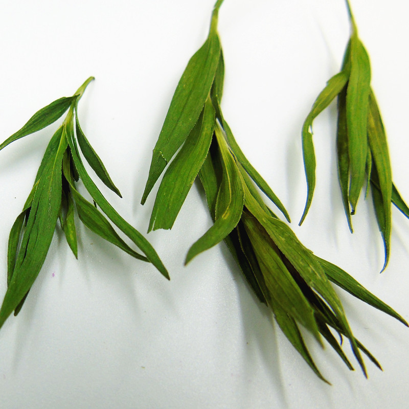 Bamboo Leaf Tea (Lophatherum gracile / Phyllostachys) — Dried Herbal Leaf Tea, 500g - Image 5