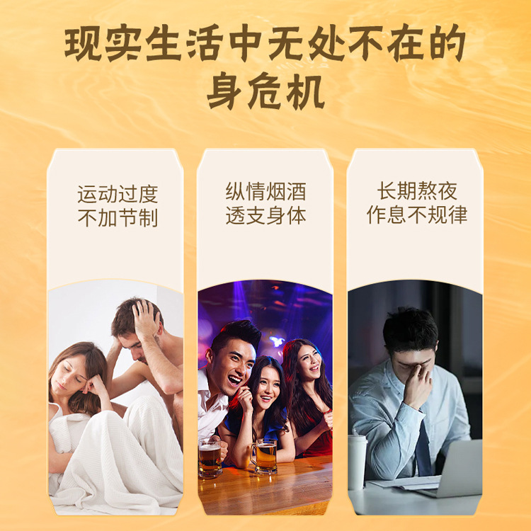 Shen Lu Da Li Wan Herbal Honey Pills 144g Traditional TCM Wellness Supplement with Ginseng Deer Antler and Polygonatum - Image 4
