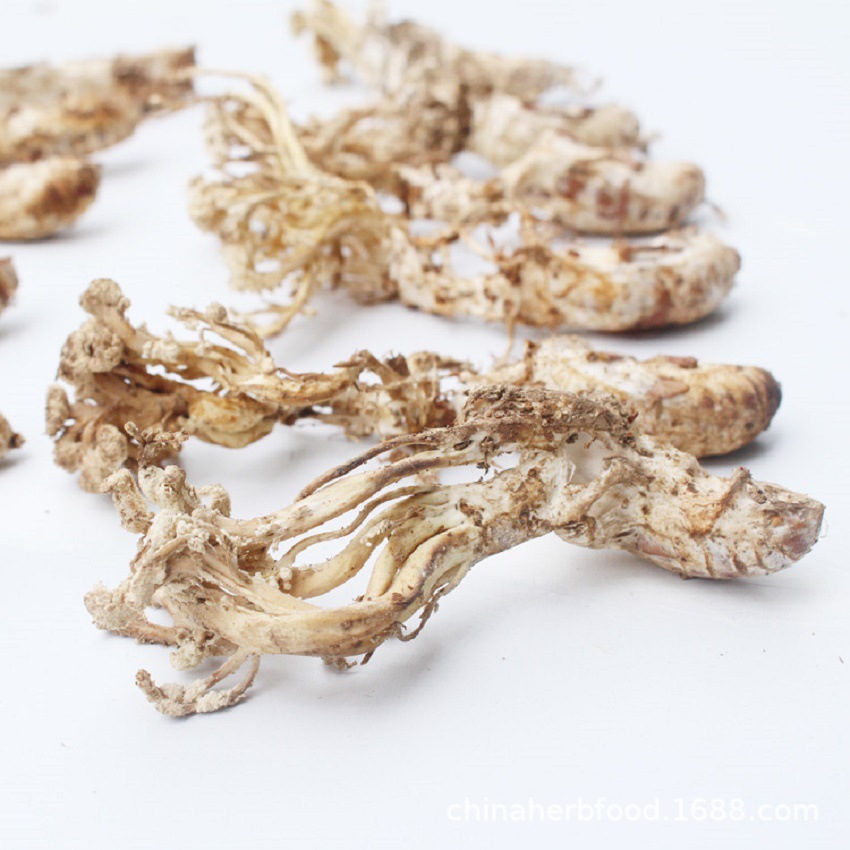 Golden Cicada Flower Powder Jin Chan Hua Fine Ground Herbal Powder 50g Yunnan Dried Cordyceps Fungus - Image 4