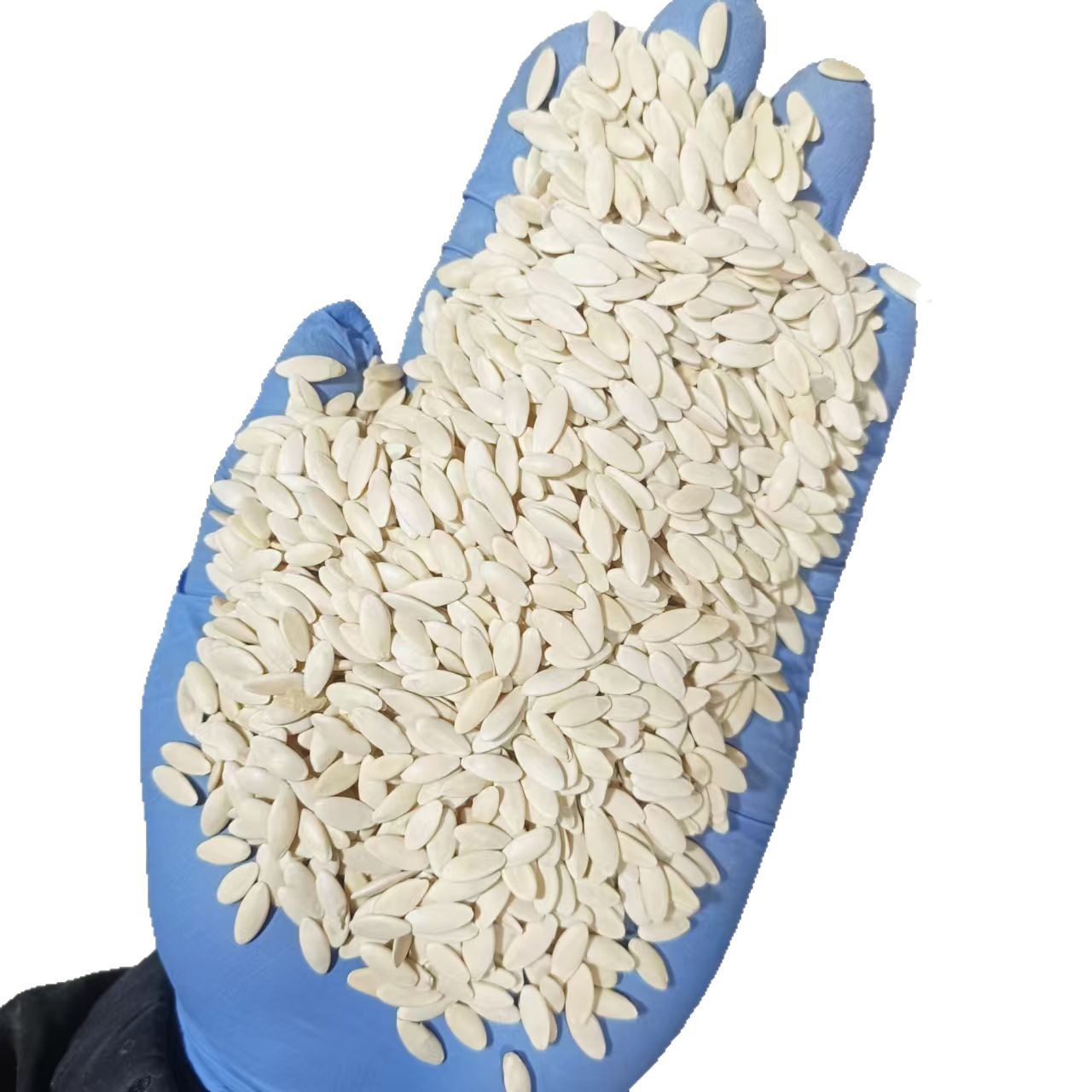 Dried Cucumber Seeds Huang Gua Zi 500g Northeast China Raw Herbal Botanical - Image 5