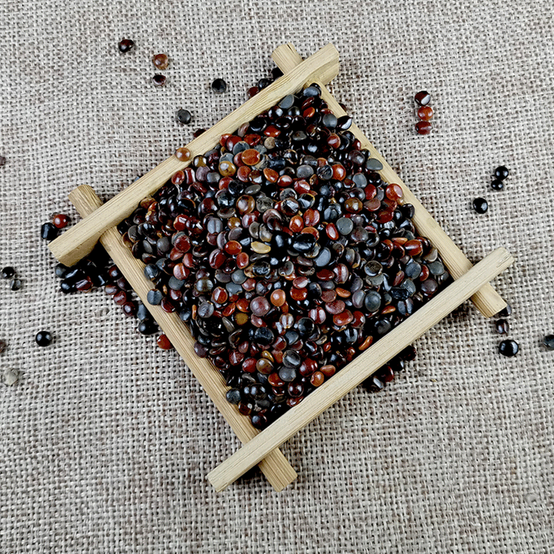 Dried Hovenia Dulcis Seeds Zhi Ju Zi Natural Raisin Tree Fruit for Herbal Tea and Decoction 500g - Image 4