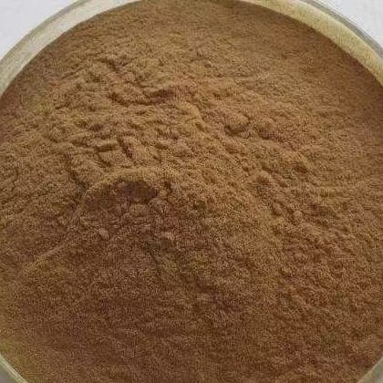 Cassia Seed Powder Jue Ming Zi 500g Roasted Herbal Powder for Tea and Wellness - Image 4