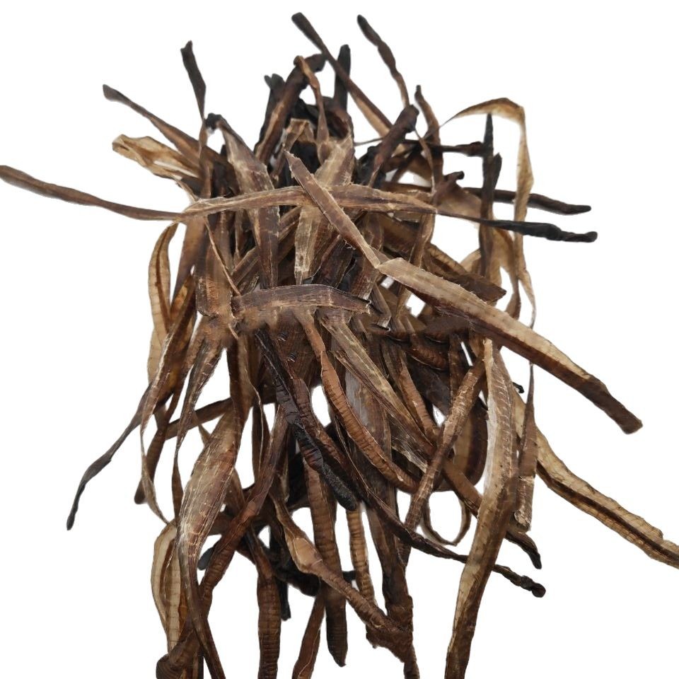 Dried Earthworm Di Long Guang Di Long Half-Cut Pieces 500g Traditional Chinese Herb - Image 5