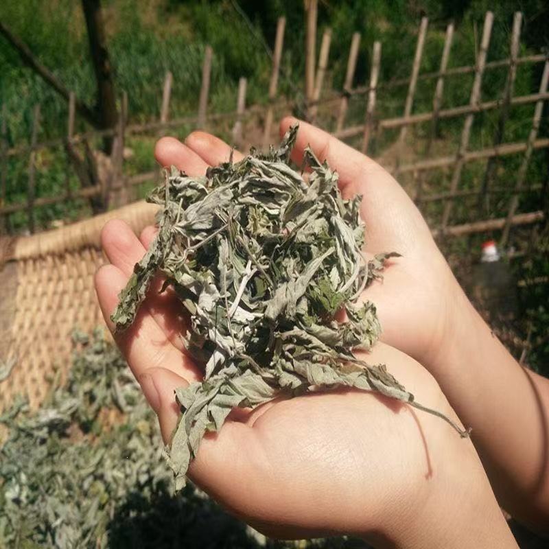 Wild Dried Mugwort Leaves Ai Ye Foot Soak Pack Traditional Chinese Herbal Bath - Image 2
