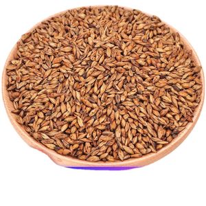 Roasted Barley Tea (Hordeum vulgare) — Aromatic Low-Temp Baked Barley Malt Herbal Tea, 500g