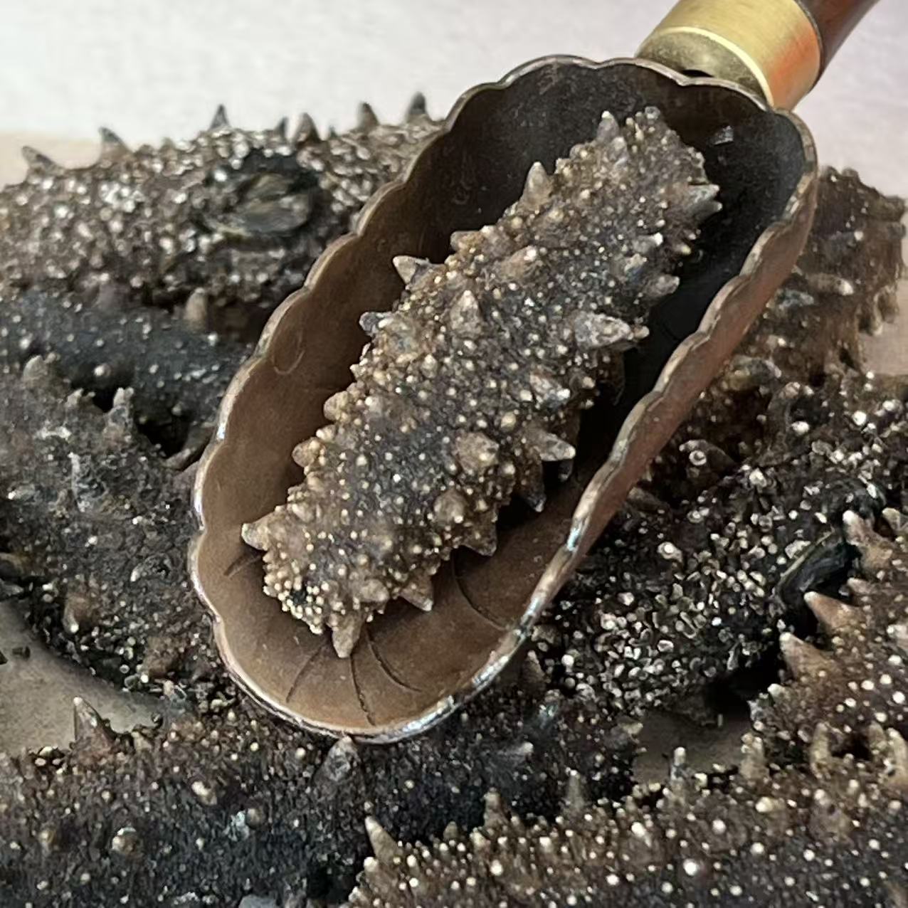 Dried Sea Cucumber Pure Lightly Dried Dalian Sea Cucumber Thick Flesh 50g - Image 2