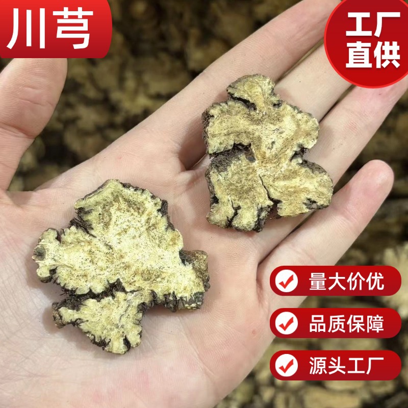 Dried Chuanxiong Rhizome Slices 250g Half Jin Sun Dried for Herbal Soup and Tea - Image 2