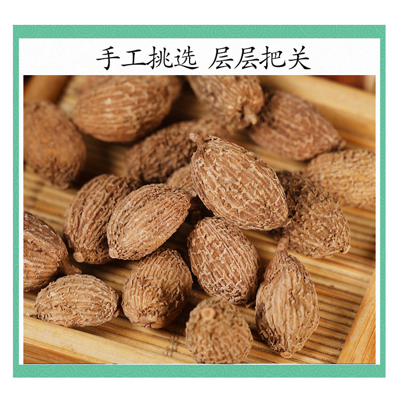 Wild Amomum Fruit Sha Ren 砂仁 Dried TCM Herb for Tea and Cooking 500g - Image 3