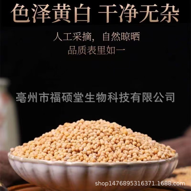 Bai Jie Zi (Sinicu White Mustard Seed) — Dried Food Herb for Tea & Powder - Image 3